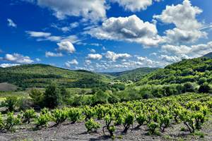 Gites Corbieres20