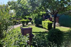 jardin