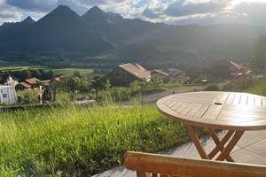 Terrasse ensoleillée vue sur le Moléson