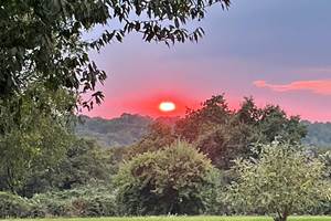 Coucher de soleil sur le parc 18 sept 2024