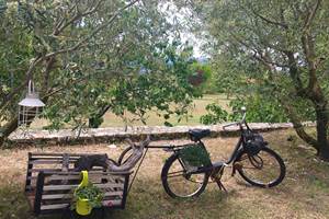 Décoration extérieure du Cellier des Amis