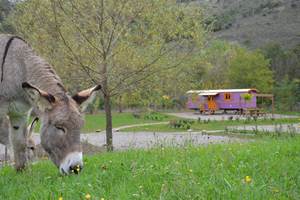 Week end ou séjour en hébergement insolite Ardèche