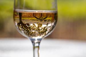 Domaine des Peirecedes-0274