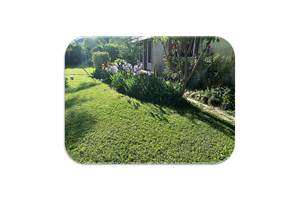 Terrasse Iris fond blanc
