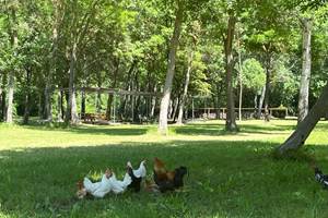 PARC 5 Ha
