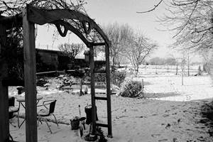 jardin jour de neige