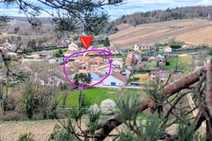 PXL_20250323_101028139~4