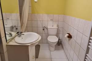 COL DU BONHOMME- Salle de bain 2