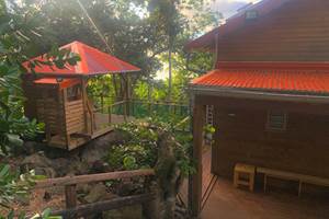 Lodge AYOUNAKA et son carbet de détente privatif