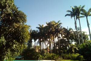 ...et un grand jardin