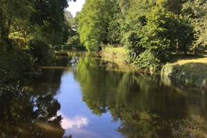 Etang
