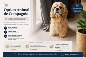 Animal de compagnie (1)