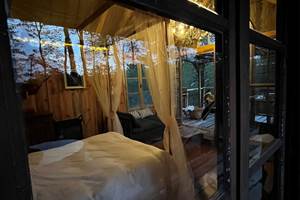 CABANE_FORET_ARBRE_BEARN_BASQUE_64 (5)