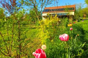 Les subtiles odeurs des fleurs et herbes folles viennent enchanter nos narines