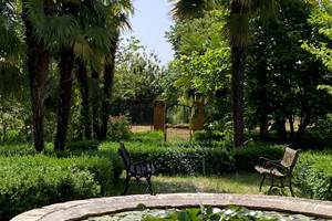 IMG_8096