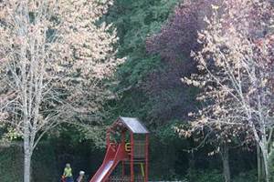 Camping La Bonnette - Caylus - Tourisme Tarn-et-Garonne