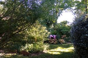 Un petit coin de paradis_Jardin