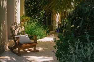 3 BD a l'ombre des palmiers pour une pause lecture Marcelle en Camargue