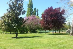 Parc