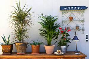 Hébergement près du théâtre antique d’Orange