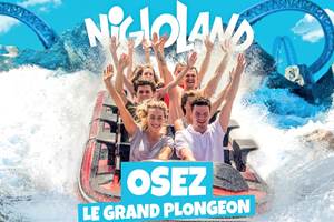 Niglo 12