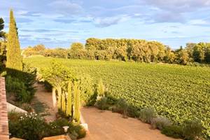 Occitanie Winery South of France