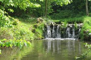 Bois_de_Vincennes_printemps_2009_-_005