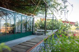 Peirecedes2019-118 REDI