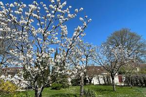 Le printemps au jardin