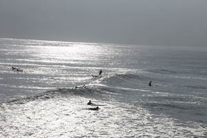 surfeurs ocean