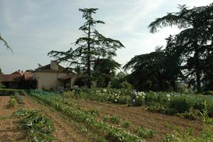Jardin