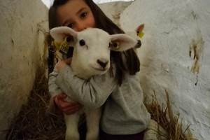 animaux de la ferme