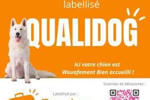 Vitrophanie QUALIDOG avec QR code (2)