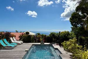 piscine au sel chauffée au milieu d'un jardin tropical