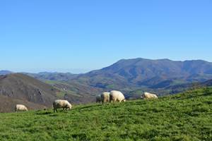Gite Izarrak_Compostelle_pays basque_paysage