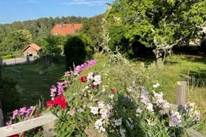 thumbnail_IMG_9272
