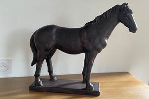 Le Pays d'Auge, terre du cheval