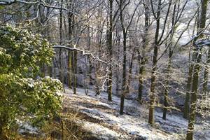 IMG-20210124-WA0013