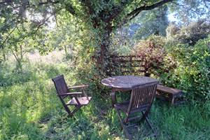 coin-repas-exterieur-sous-chenes-nature-camping-masserac.jpg