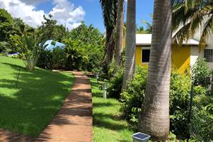 A-l-ombre-des-palmiers-royaux-jardin-l'or-des-caraibes