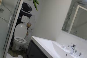 Une salle de bains avec douche attenante à la chambre d'hôtes et individuelle
