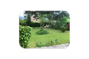 Jardin2 fond blanc