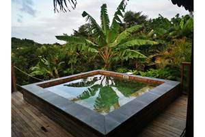 piscine-nature-zen-guadeloupe