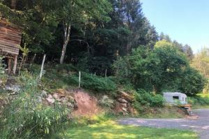 camping en forêt