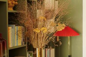 4 bibliothèque de Marcelle en Camargue