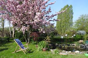 Jardin 3
