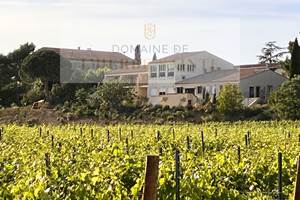 Une lieu d'évènement au coeur d un vignoble de qualité pour des grands vins du languedoc