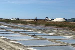 Récolte du sel dans les marais salants