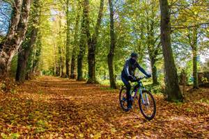 Entre sentiers boisés et paysages vallonnés, la forêt d’Hesdin offre des itinéraires vélo idéals pour un séjour actif au cœur du Pays des 7 Vallées.