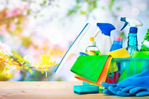 Ménage-de-printemps